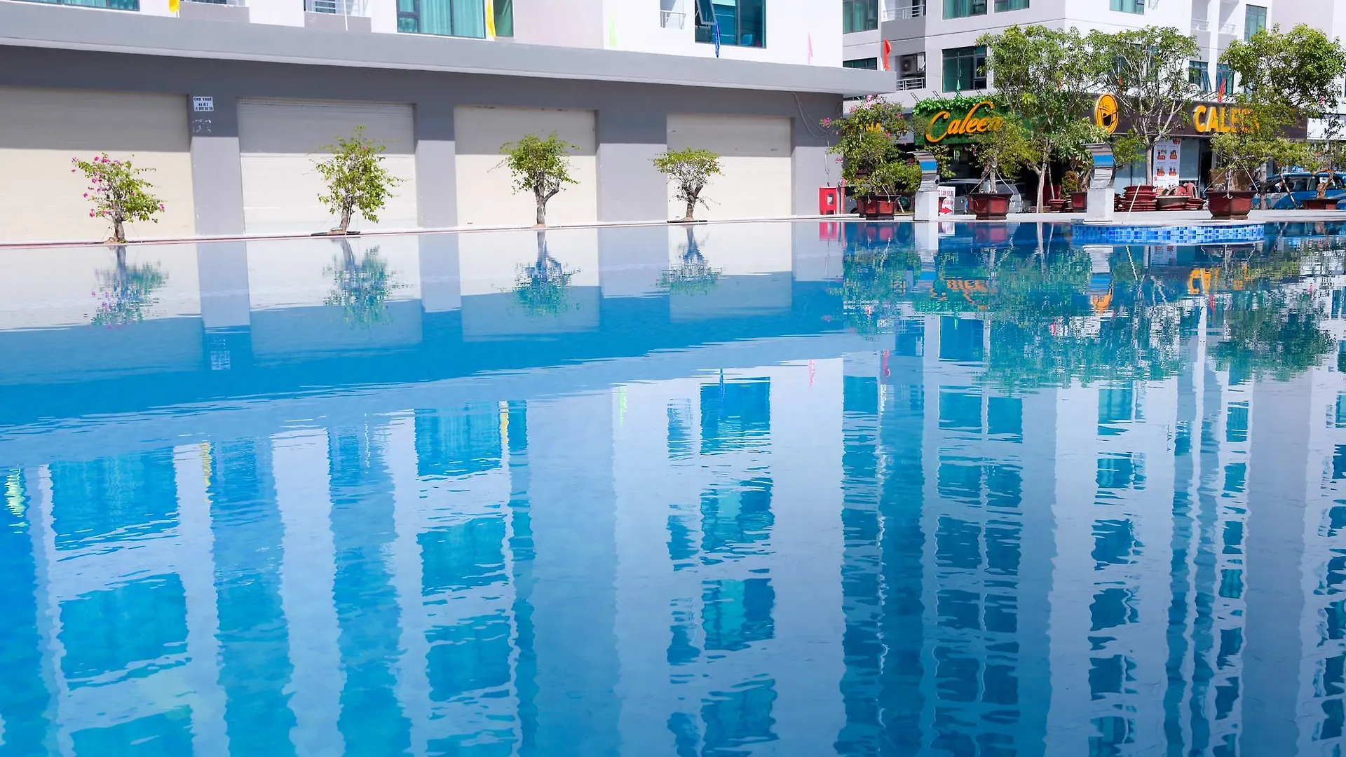 Dolphin Apartment Nha Trang Vietnam