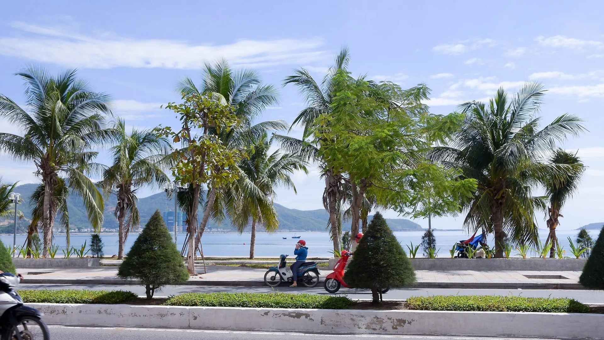 Dolphin Apartment Nha Trang 0*,